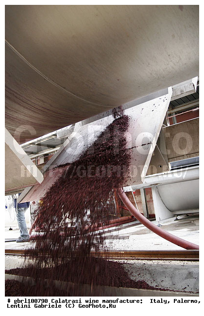 ������, �������, ����, ���������, ������������