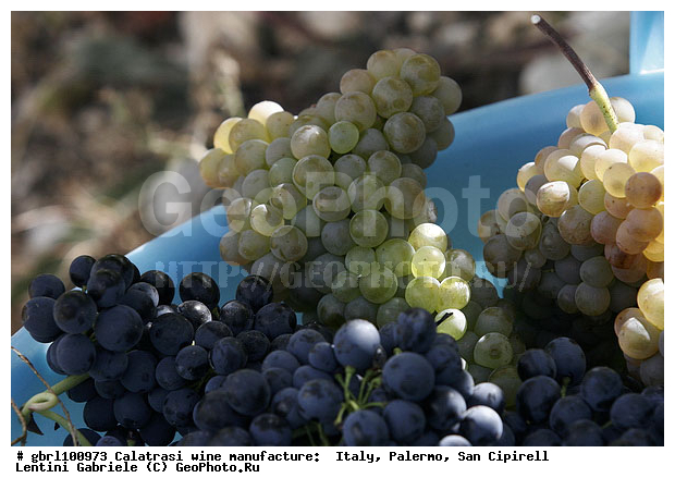 ������, �������, ����, ���������, ������������