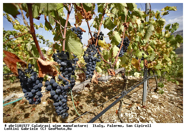 ������, �������, ����, ���������, ������������