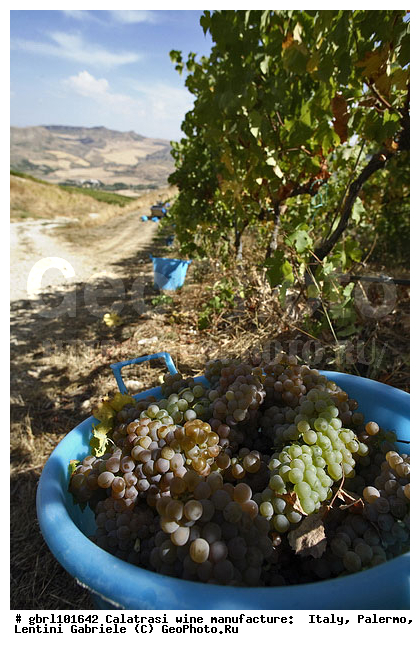 ������, �������, ����, ���������, ������������