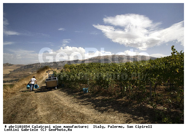 ������, �������, ����, ���������, ������������