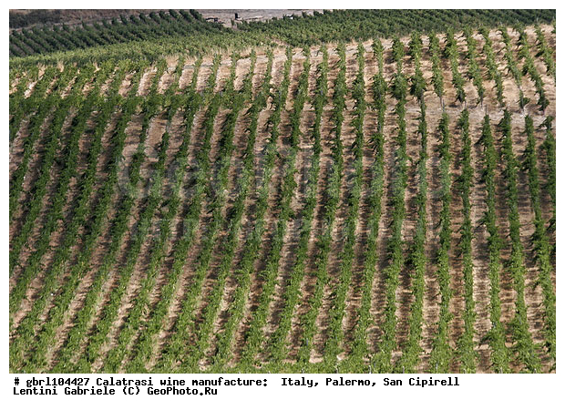 ������, �������, ����, ���������, ������������