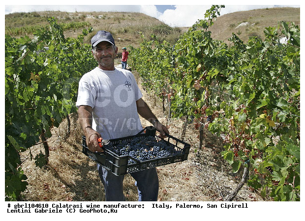 ������, �������, ����, ���������, ������������