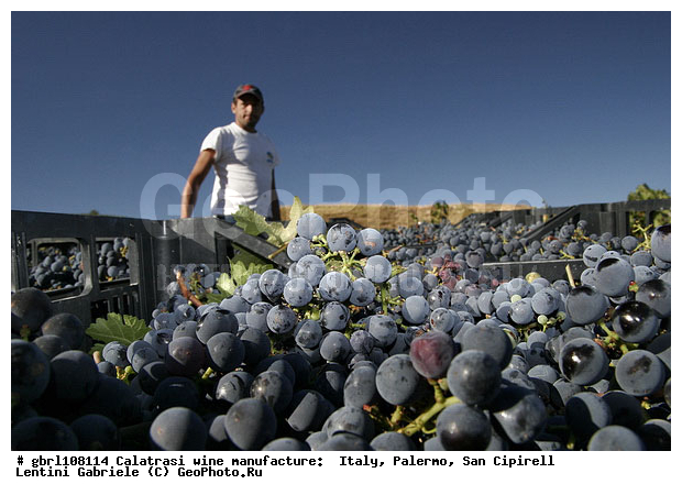 ������, �������, ����, ���������, ������������