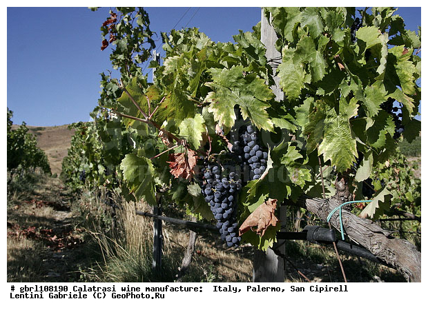 ������, �������, ����, ���������, ������������