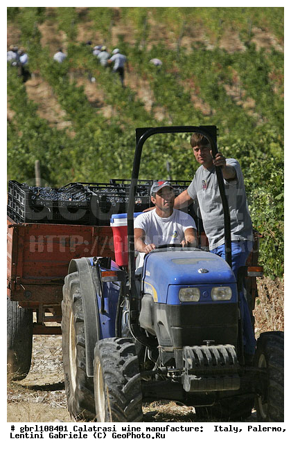 ������, �������, ����, ���������, ������������