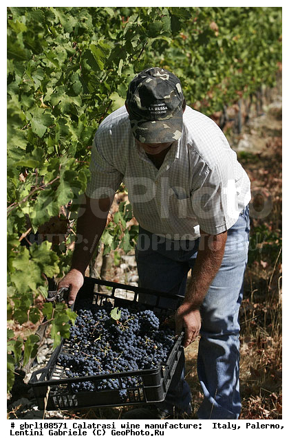 ������, �������, ����, ���������, ������������