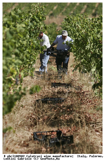 ������, �������, ����, ���������, ������������