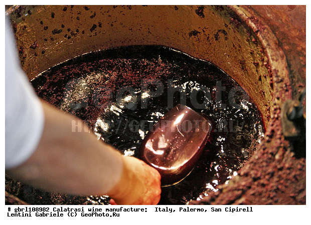 ������, �������, ������ �����, ����, ���������, ������������