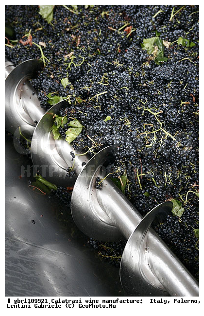 ������, �������, ����, ���������, ������������