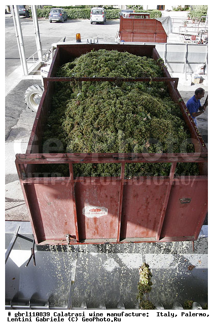 ������, �������, ����, ���������, ������������