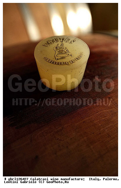 ������, �������, ������ �����, ����, ���������, ������������