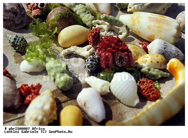 ������, �����, ������