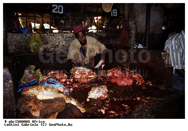 ������, �����, ������