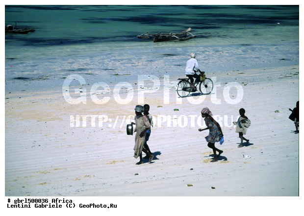 ������, �����, ������