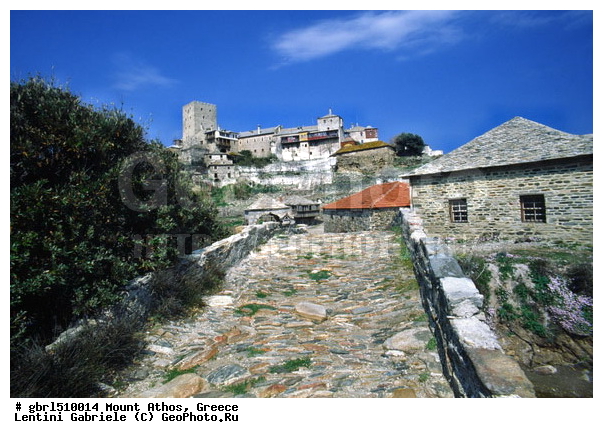 ����, ������ ���� ����, ����, ������ �����