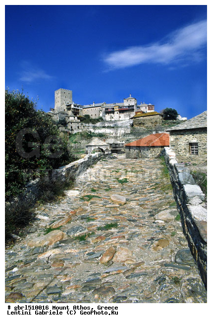 ����, ������ ���� ����, ����, ������ �����