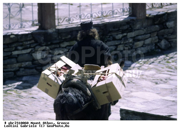 ����, ������ ���� ����, ����, ������ �����