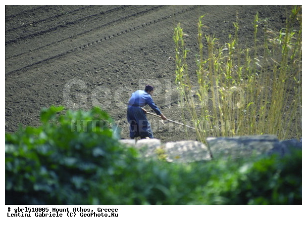 ����, ������ ���� ����, ����, ������ �����