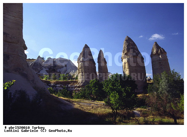 ����������, ������, ������