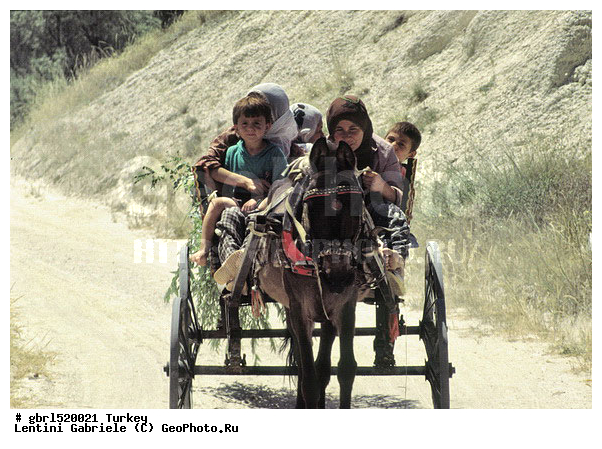 ����������, ������, ������