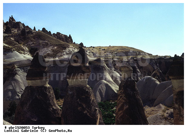 ����������, ������, ������