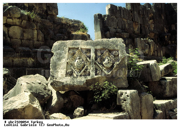 ����, ������, ������