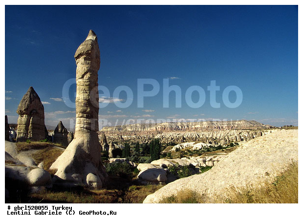 ����������, ������, ������