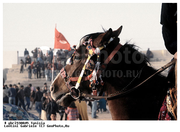 �����, ������