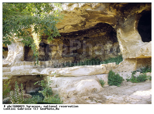 ������, ������������ ����