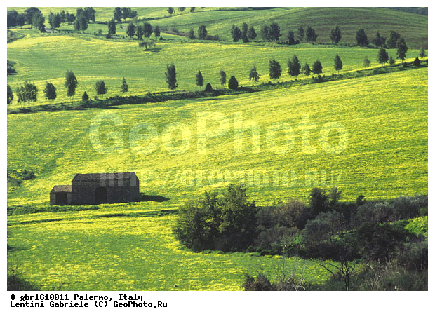 ������, �������