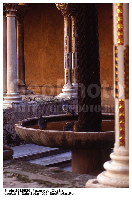 ������, �������