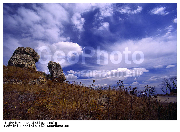 ����, ���������, ������, �������