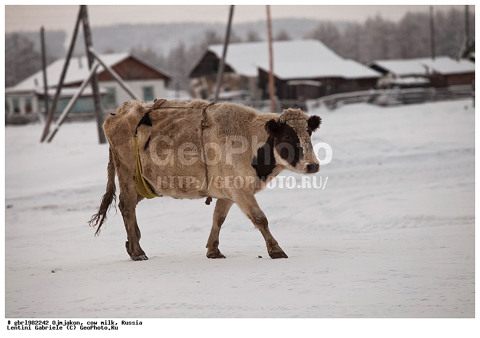 �������, ������, ������, ������, ����, ����, �����, �����, ����� 40, -40, ����, ���������� ����, ������, ����� ������