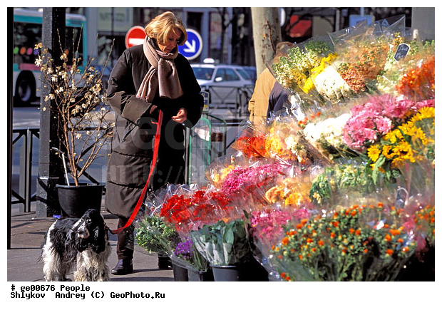 Cities, France, Paris, customers, flowers, genre, street