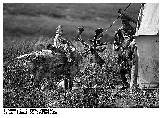 ������, ������, ����, ����, ������� �����, ����, ���� � �����, ��������, ��������, �����, �����, �������, ���������� ����, ��������, �������� ����������, �������, ��������, ��������, �������������, �������������, �����, �����, XYZ, ��������, ������, Cervidae, �������� �����, ������, Rangifer tarandus