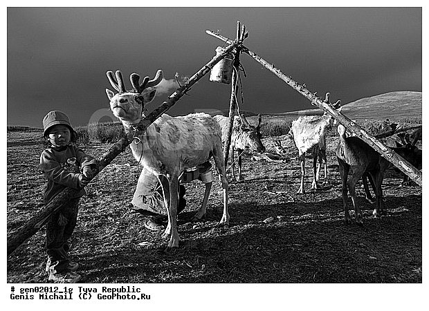 ������, ������, ����, ����, �����, �����, ����� ������, ��������, �����, �����, ���������� ����, ��������, �������� ����������, ��������, ��������, �������������, �������������, �����, �����, XYZ, ��������, ������, Cervidae, �������� �����, ������, Rangifer tarandus