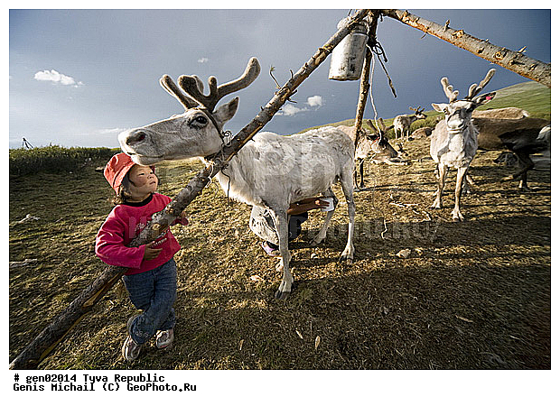 ������, ������, ����, ����, �����, �����, ����� ������, ��������, �����, �����, ���������� ����, ��������, �������� ����������, ��������, ��������, �������������, �������������, �����, �����, XYZ, ��������, ������, Cervidae, �������� �����, ������, Rangifer tarandus