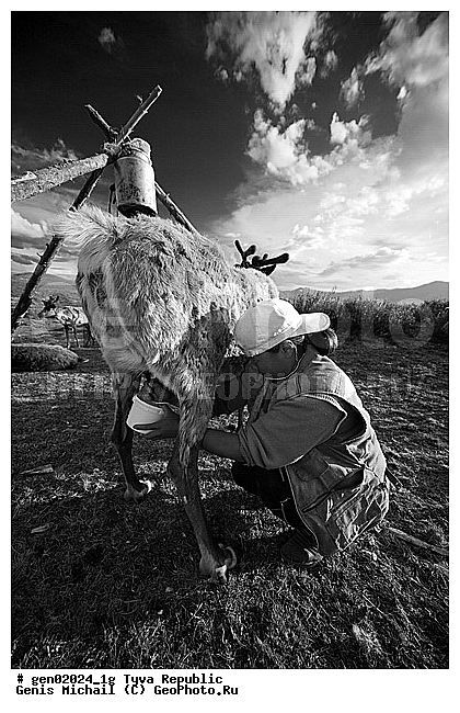 ������, ������, ����, ����, �����, �����, ����� ������, ��������, �����, �����, ���������� ����, ��������, �������� ����������, ��������, ��������, �������������, �������������, �����, �����, XYZ, ��������, ������, Cervidae, �������� �����, ������, Rangifer tarandus