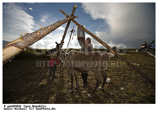 ������, ������, ����, ����, �����, �����, ����� ������, ��������, �����, �����, ���������� ����, ��������, �������� ����������, ��������, ��������, �������������, �������������, �����, �����, XYZ, ��������, ������, Cervidae, �������� �����, ������, Rangifer tarandus