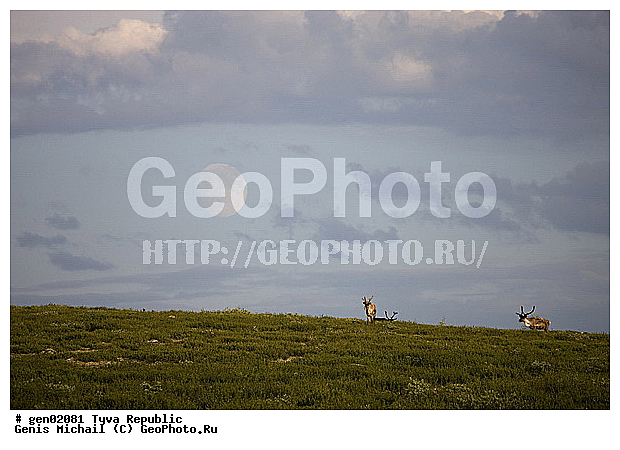 ������, ������, ����, ����, ������, ������ � ������ �� ���������, ���������� ����, �������� ����������