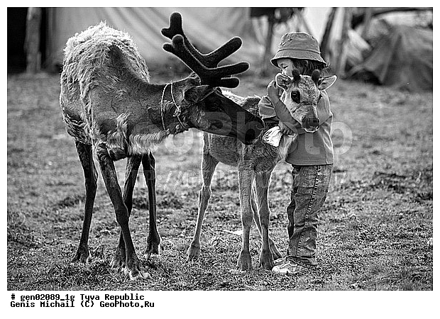 ������, ������, ����, ����, ������� �����, ����, ���� � �����, ��������, ��������, �����, �����, �������, ���������� ����, ��������, �������� ����������, �������, ��������, ��������, �������������, �������������, �����, �����, XYZ, ��������, ������, Cervidae, �������� �����, ������, Rangifer tarandus