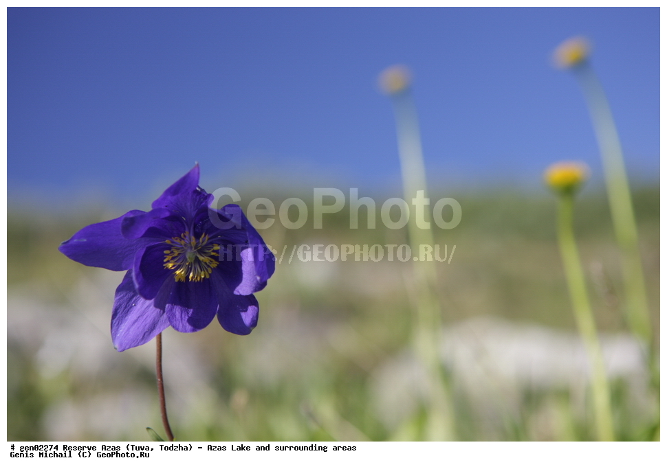  ���������, ����, ����, �����,  ����� ����, �����, �������� ����, ��������� ����