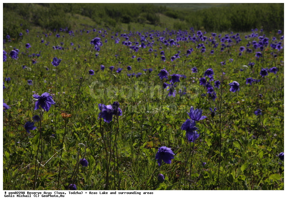  ���������, ����, ����, �����,  ����� ����, �����, �������� ����, ��������� ����