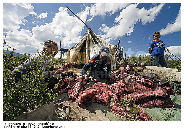 ������, ������, ����, ����, �����, ��������, �������� ���� ������, ���������� ����, ��������, �������� ����������, ����