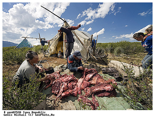 ������, ������, ����, ����, �����, ��������, �������� ���� ������, ���������� ����, ��������, �������� ����������, ����