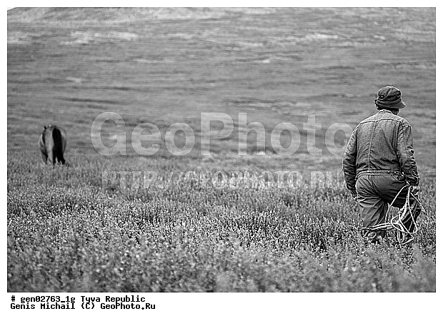 ������, ������, ����, ����, ��������, ������, ���������������, ���������� ������, ���������� ����, ��������, �������� ����������, ��������, ��������, �������������, �������������, �����, �����, XYZ, ���������, Equidae, �������� ������, Equus ferus caballus