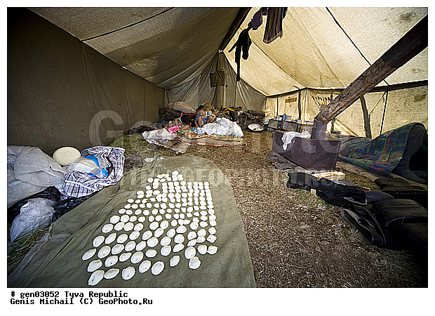 ������, ������, ����, ����, ������� �����, ��� ����������, �������, ��������, ��������, ����, ������������� ��������� � ������, ������������� ����, ���������� ����, ��������, �������� ����������, ������