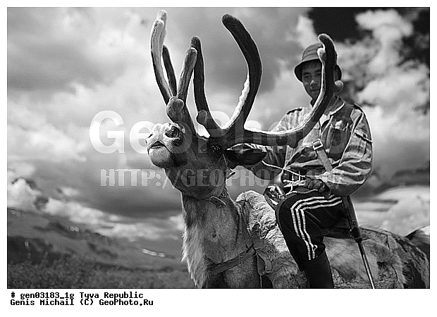 ������, ������, ����, ����, ��������, �������, ������� ���������, ���������� ����, ��������, �������� ����������, �������