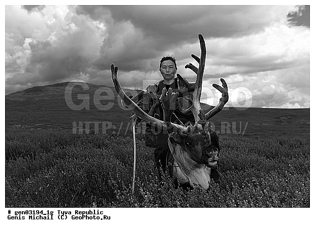 ������, ������, ����, ����, ��������, �������, ������� ���������, ���������� ����, ��������, �������� ����������, �������